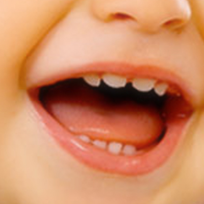 The Functions of Milk Teeth